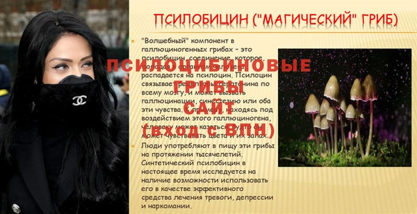 винт Арсеньев