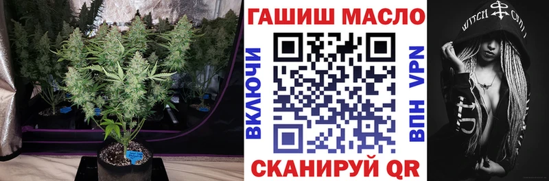 ТГК Wax  Мураши 
